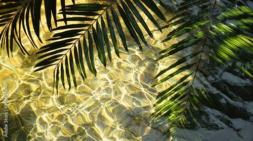 Palm fronds casting shadows on rippling water, abstract textured background.