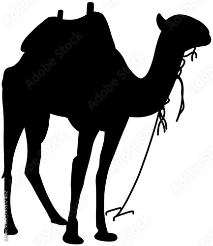 one camel silhouette vector illustration