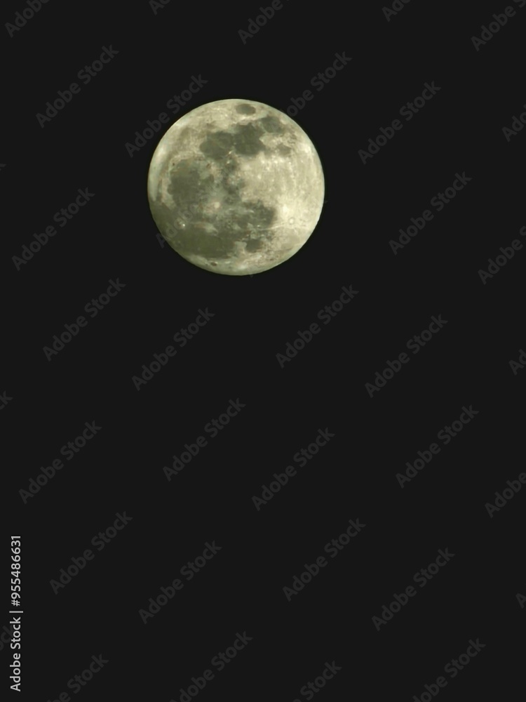 Fototapeta premium Full Moon