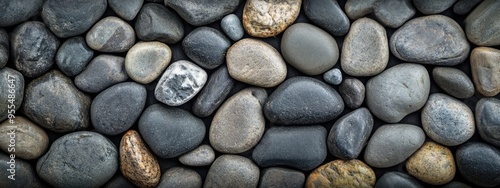 Wallpaper Mural Background with texture of the pebbles. Torontodigital.ca