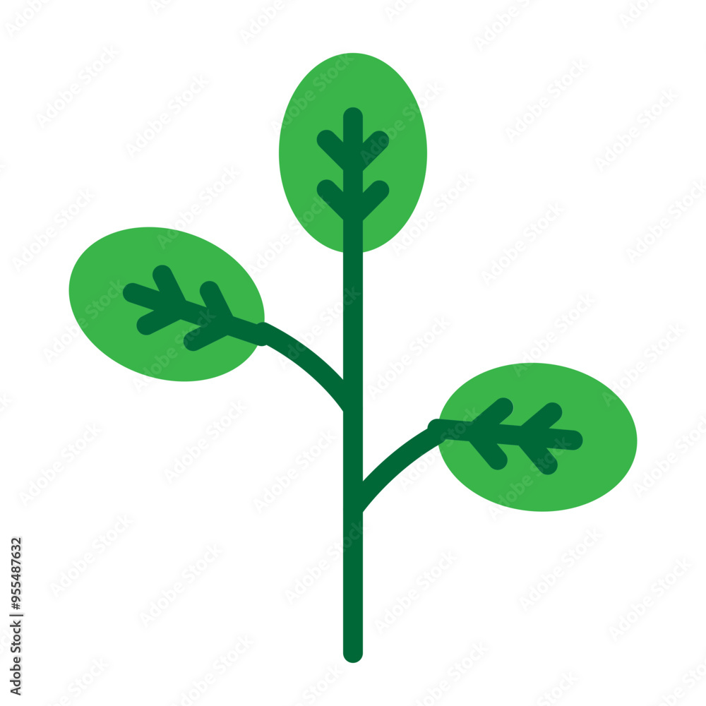 Watercress Vector Flat Icon Design Watercress Vector Flat Icon Design