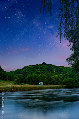landscape with river and forest