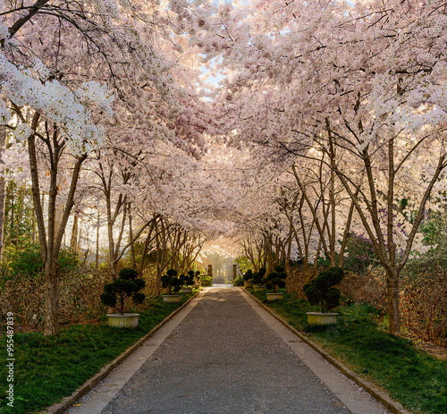 path in the park