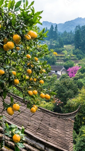 An orange tree filled with ripe fruit stands majestically in Hainan's mountains, bordered by other fruit trees and a view of colorful hills and an old stone well