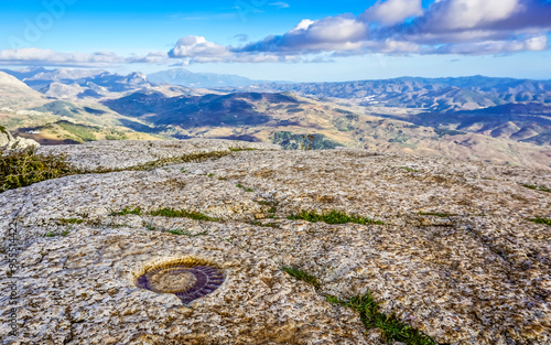 Fossilized ammonite on a rock in Torcal de Antequera