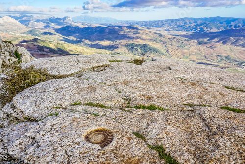 Fossilized ammonite on a rock in Torcal de Antequera