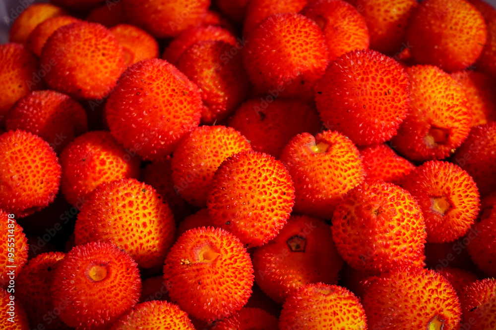 Basket of very ripe red strawberry trees Basket of very ripe red strawberry trees