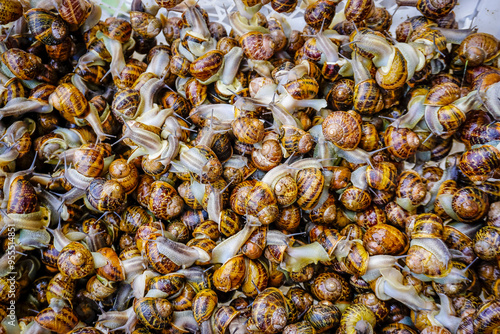 Small snails ready to be cooked photo