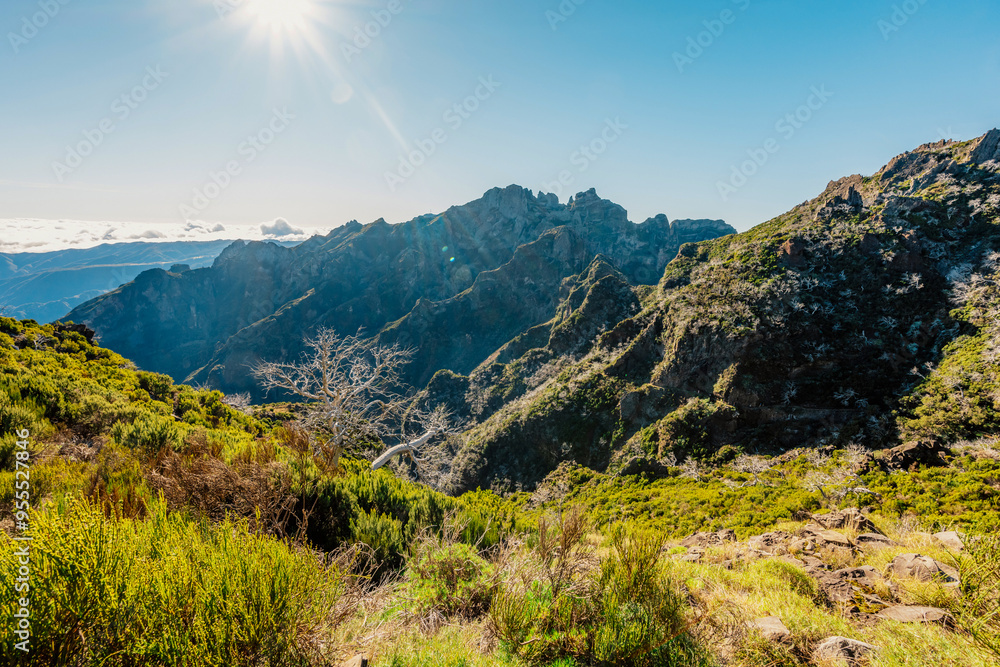 Naklejka premium Hiking on the highest peak of Madeira Pico Ruivo next to the cottage Abrigo do Pico Ruivo. Views of the surrounding mountains lanscape during sunny day