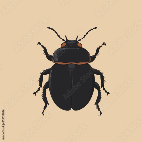 Illustration of a Black Beetle on Neutral Background