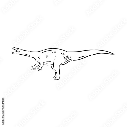 aardonix vector sketch dinosaurs isolated on white background,