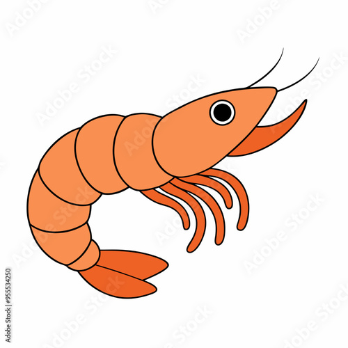 shrimp vector illustration