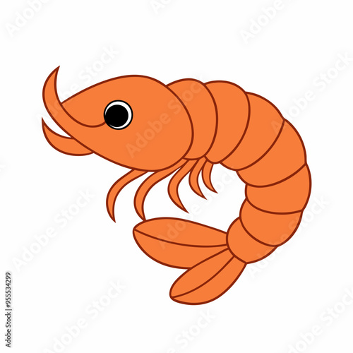 shrimp illustration
