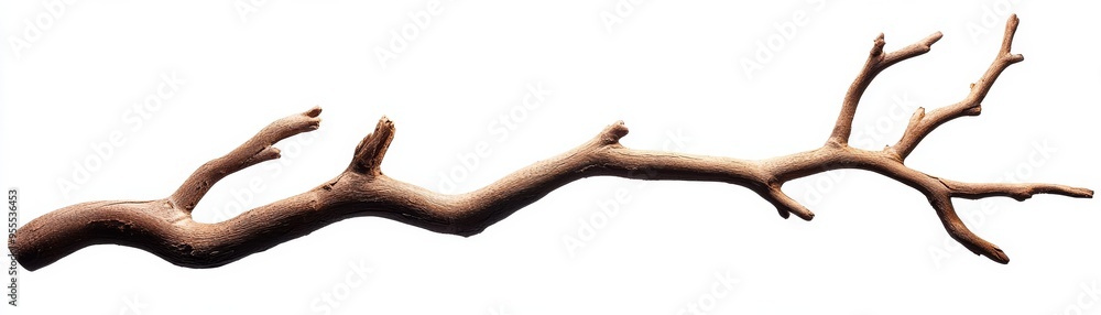 A Single Branch on a White Background, Wood, Tree, Nature A Single Branch on a White Background, Wood, Tree, Nature
