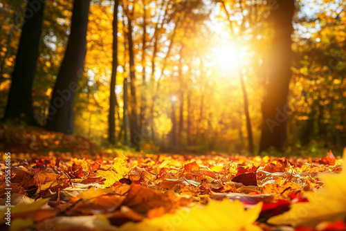 Sonnenstrahlen in Herbstwald