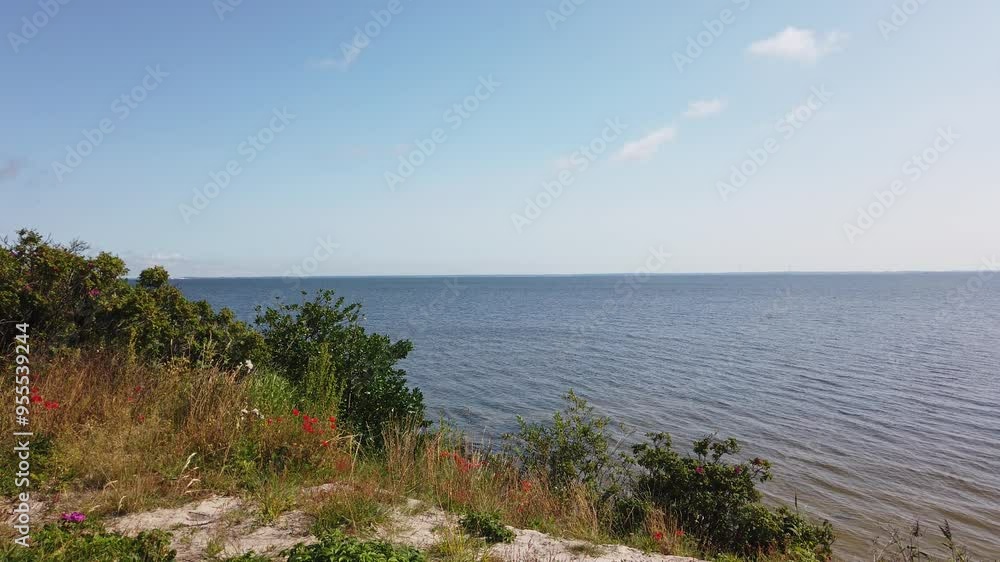 Landscape with calm water at the Ringkøbing Fjord, Denmark