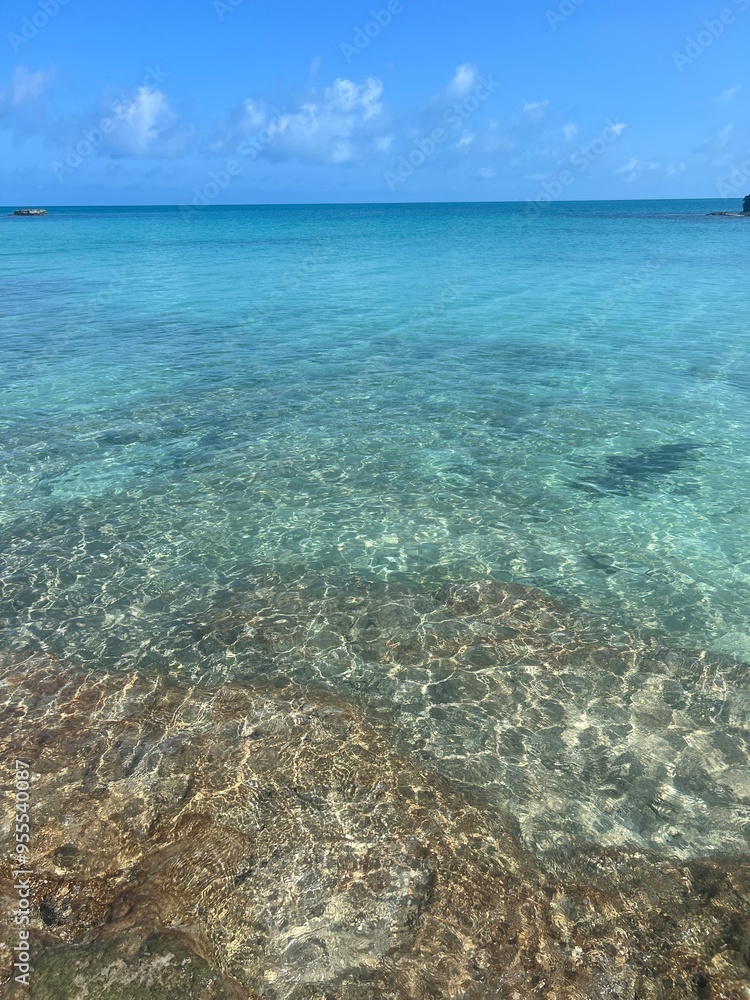Obraz premium Island Life 