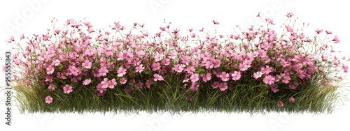 Aerial view flowers blossoms row cutout on transparent backgrounds 3d rendering png photo