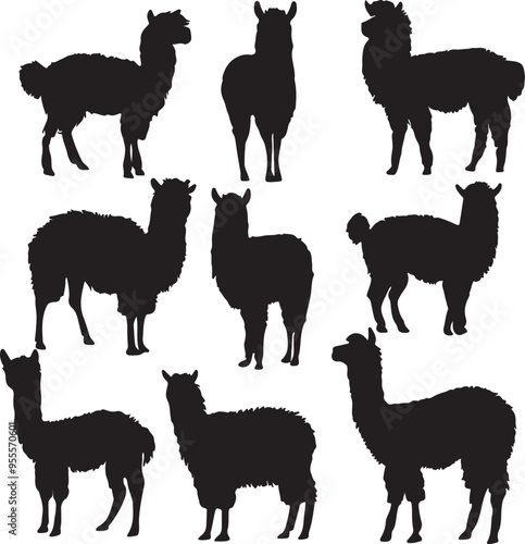 Alpaca and Llama Silhouettes Set 
