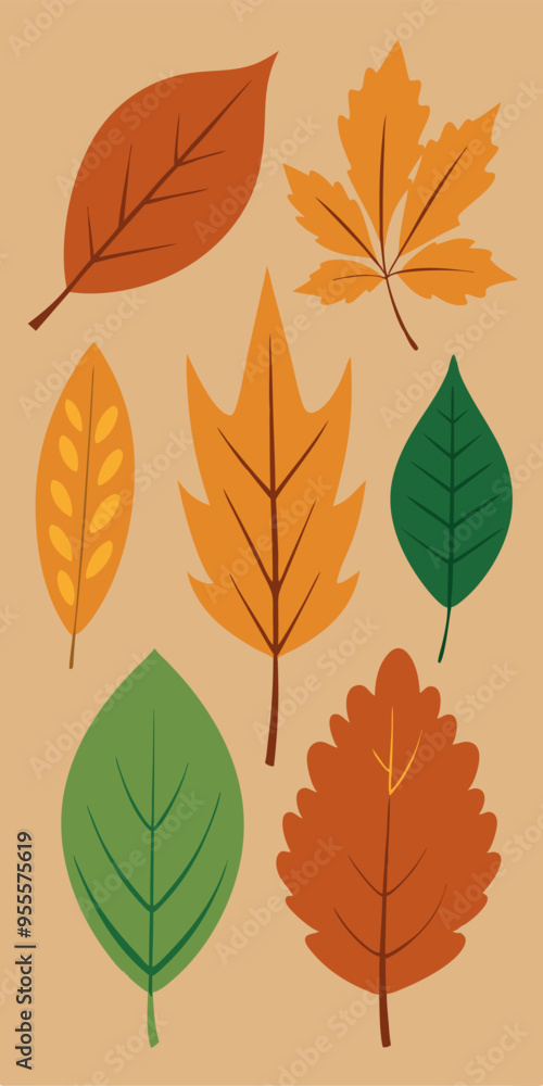 Obraz premium A collection of colorful autumn leaves, perfect for adding a touch of warmth and nature to your designs. These leaves are ideal for fall-themed projects, invitations.