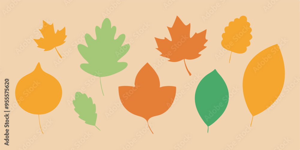 Obraz premium A set of colorful autumn leaves, perfect for adding a touch of fall to your designs. This set includes maple leaves, oak leaves, and more, all in a variety of shades of red, orange, yellow.