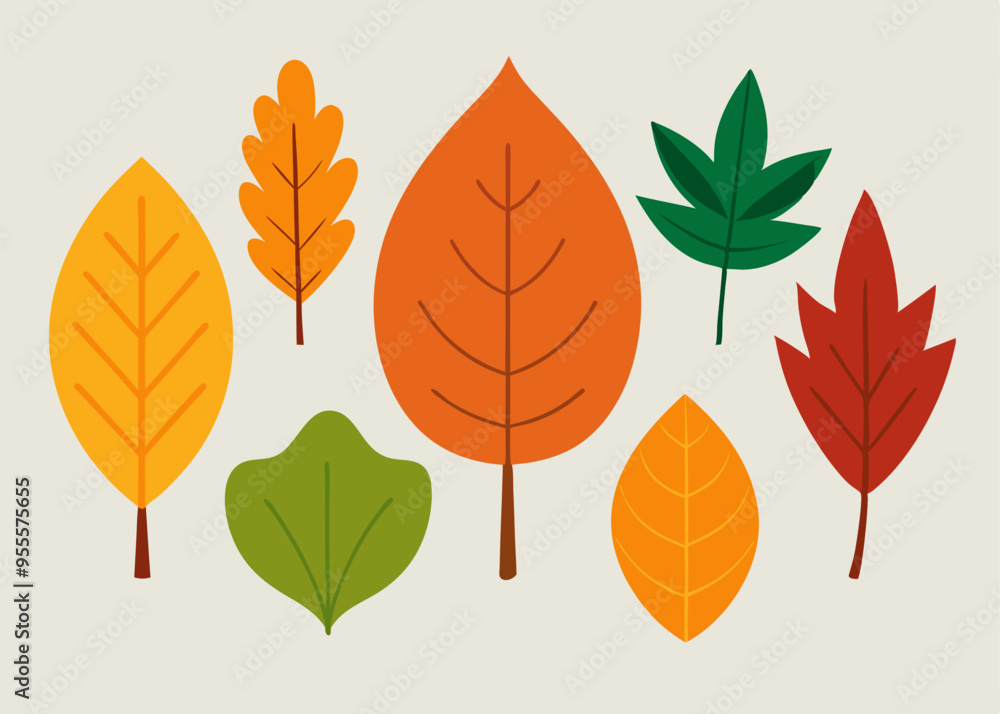 Obraz premium A collection of autumn leaves in various shapes and colors, perfect for adding a touch of fall to your designs. These illustrations are ideal for seasonal projects, crafts.