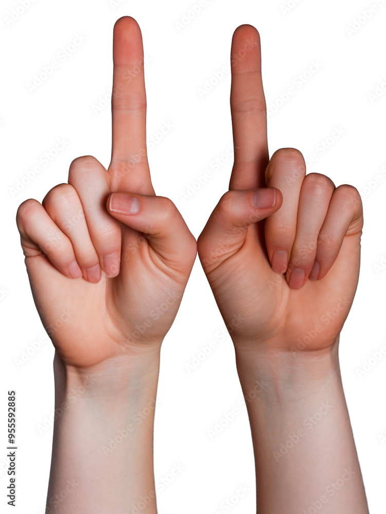 PNG Two hands ok sign finger gesturing portrait. PNG Two hands ok sign finger gesturing portrait.