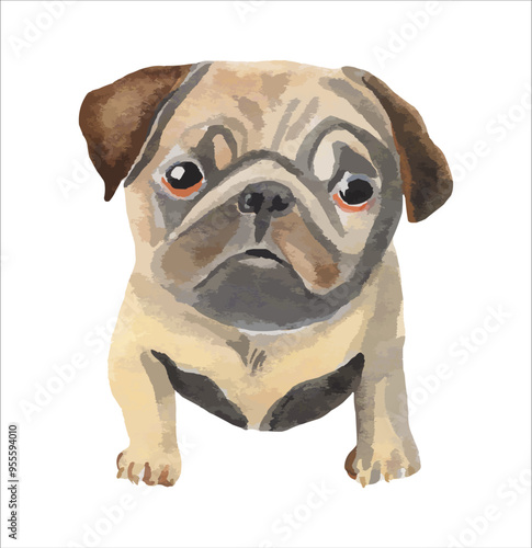  Watercolour painting dog on white background , vector print, Pug dog puppy,