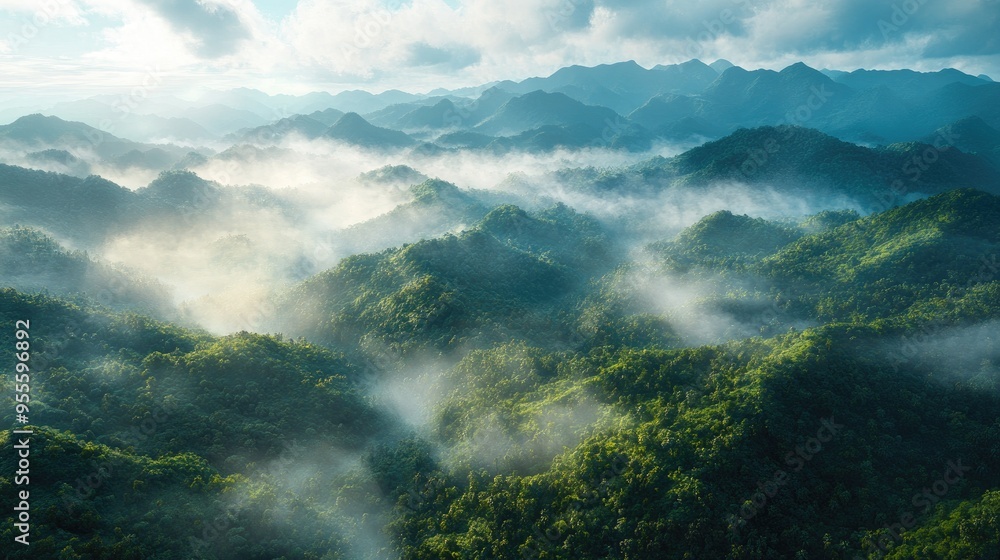An aerial view of a mountain range covered in dense forest, with mist rising from the valleys and peaks piercing through the clouds. An aerial view of a mountain range covered in dense forest, with mist rising from the valleys and peaks piercing through the clouds.