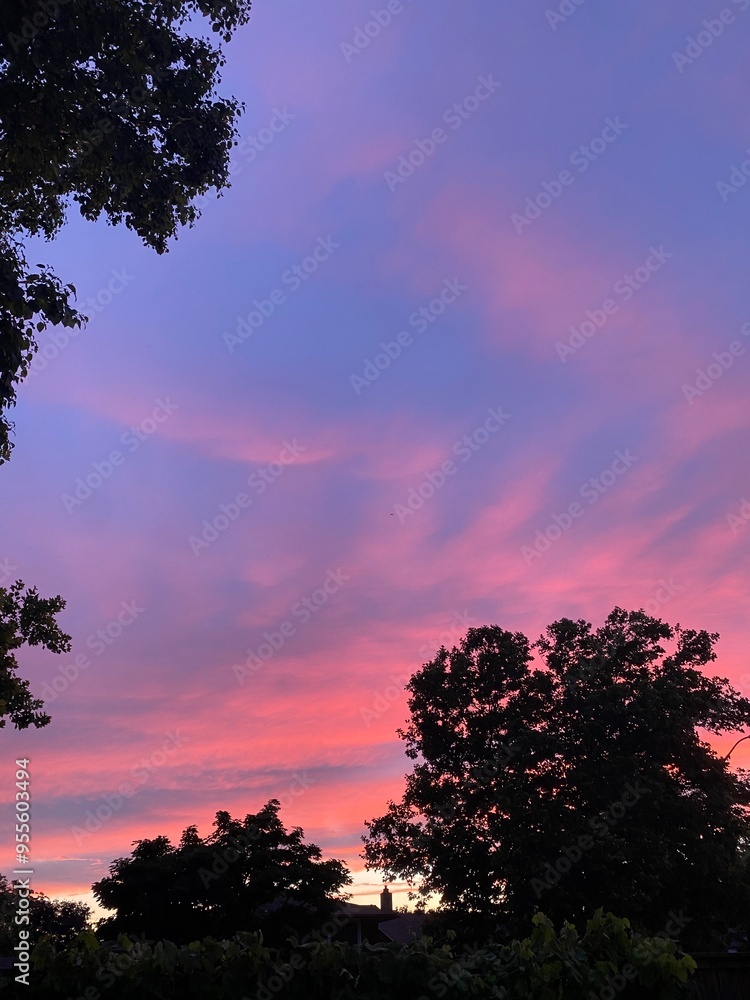 Fototapeta premium Pink Sky