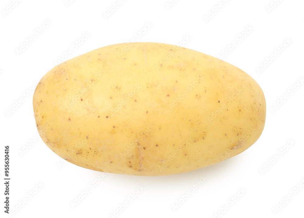 One fresh young potato isolated on white, top view One fresh young potato isolated on white, top view