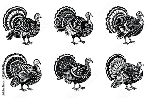 Set of turkey vector illustration 