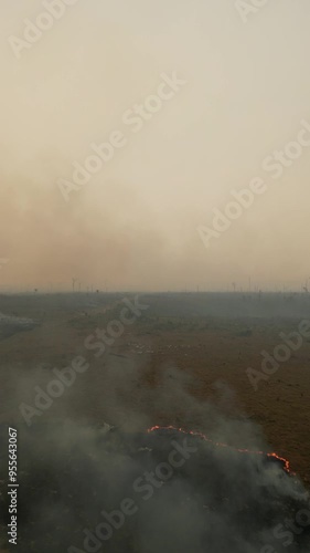 Apuí, Amazonas: Imagens Aéreas Exclusivas das Queimadas que Lideram o Desmatamento na Amazônia em 2024 – Capturadas por Drones, Revelando a Devastação e Impactos Ambientais photo