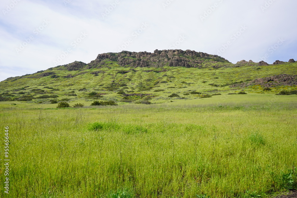 A Green Mountain Side A Green Mountain Side