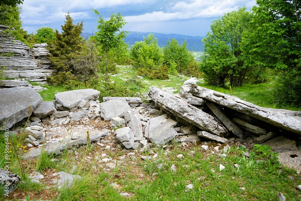 Smooth, curved and rough rock formations surrounded by thick green shrubs and trees in the stone forest the vikos gorge in greece, stone garden