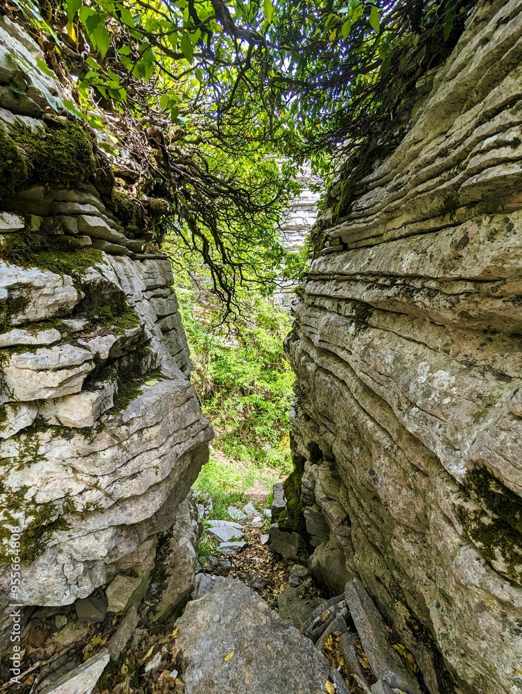 Smooth, curved and rough rock formations surrounded by thick green shrubs and trees in the stone forest the vikos gorge in greece, stone garden Smooth, curved and rough rock formations surrounded by thick green shrubs and trees in the stone forest the vikos gorge in greece, stone garden