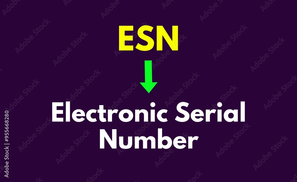 ESN Meaning, Electronic Serial Number ESN Meaning, Electronic Serial Number
