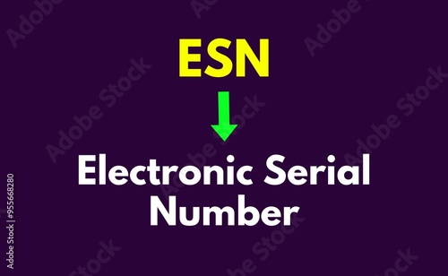 ESN Meaning, Electronic Serial Number photo