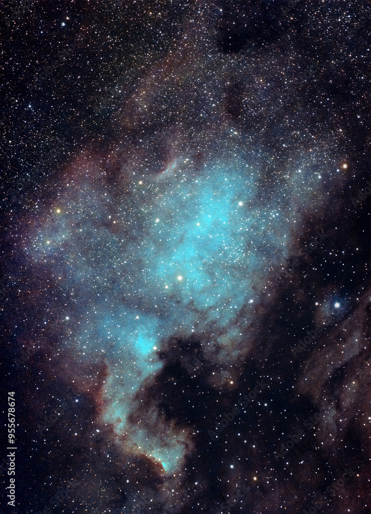 North America Nebula. The North America Nebula (NGC 7000 or Caldwell 20) is an emission nebula in the constellation Cygnus. It is named because its shape resembles North America.