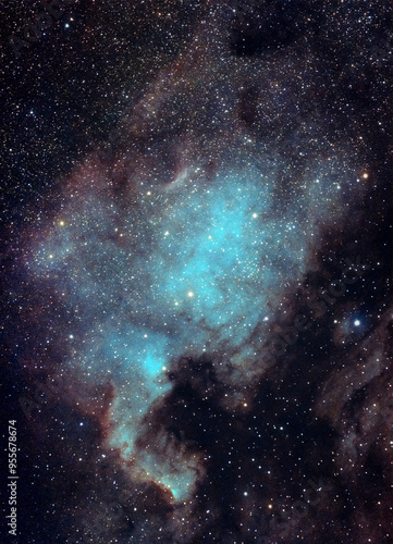 Obraz na płótnie North America Nebula. The North America Nebula (NGC 7000 or Caldwell 20) is an emission nebula in the constellation Cygnus. It is named because its shape resembles North America. w salonie
