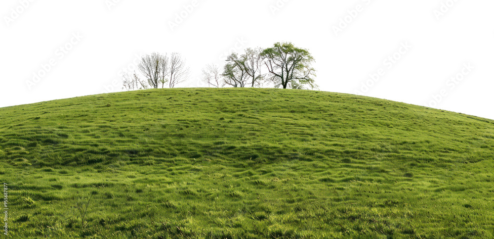 Fototapeta premium PNG Lush green hill with trees