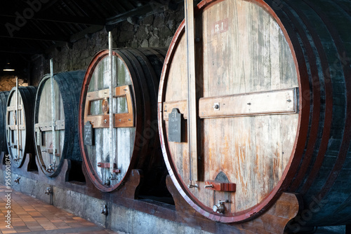 Wine cellar, row of wooden barrels