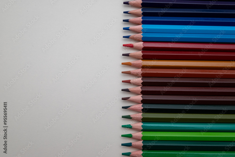 A row of colored pencils are lined up on a white background. The pencils are of various colors, including green, blue, red, and brown. Concept of creativity and artistic expression