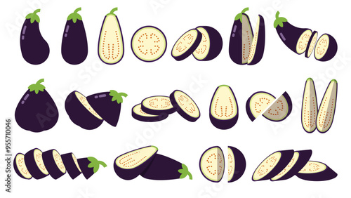 Set of Black Eggplant, Farm fresh Eggplant product emblem for grocery shop, Slides, long and cross sections, and different positions, simple flat vector illustration of vegetables and fruits.