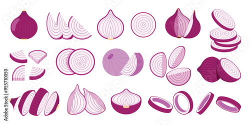 Set of Red Onion, Farm fresh Red Onion product emblem for grocery shop, Slides, long and cross sections, and different positions, simple flat vector illustration of vegetables and fruits.