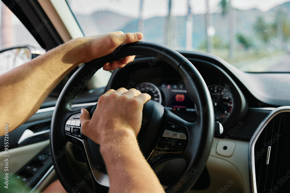 custom made wallpaper toronto digitalA person holding the steering wheel of a car while driving through a scenic background