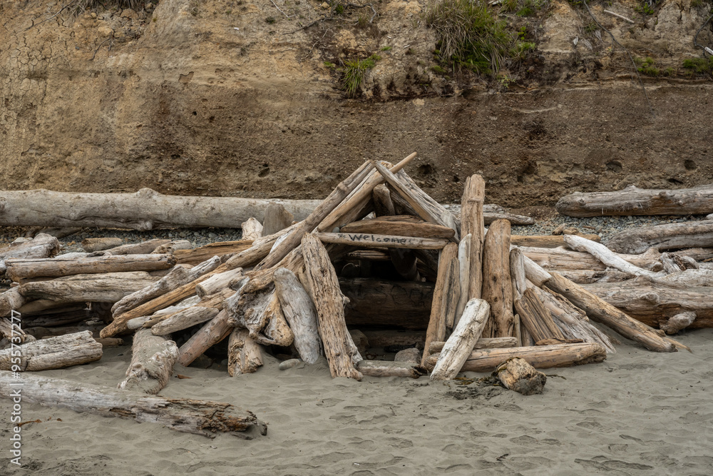 Small Drift Wood Structure On Beach In Olympic Small Drift Wood Structure On Beach In Olympic