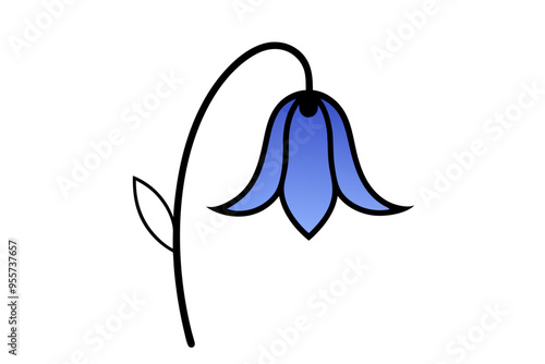 Line Drawing of Bluebell Detailed Line Art Vector Illustration photo