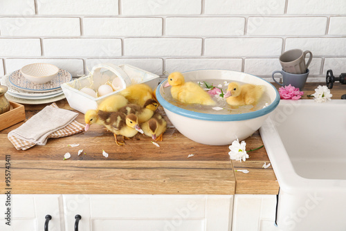 Bowl with water and cute du...