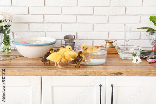 Bowls with water and cute d...